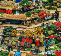 خریدار عمده میوه و سبزیجات . قرارداد بلند مدت