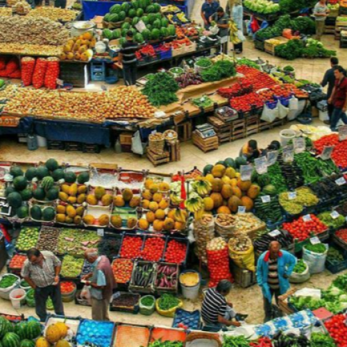 خریدار عمده میوه و سبزیجات . قرارداد بلند مدت