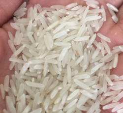 برنج عطردار پاکستانی